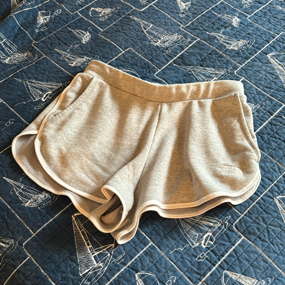 The north face shorts